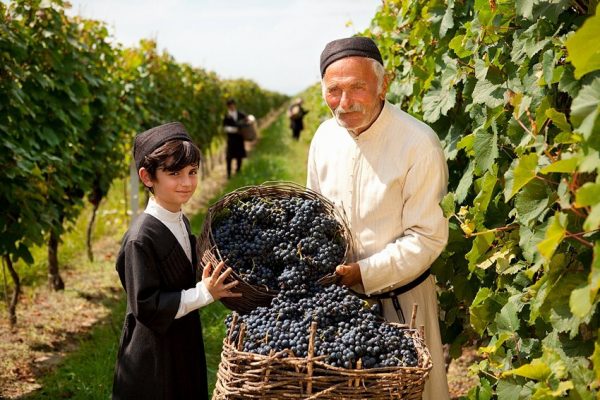 Georgian wine history 4